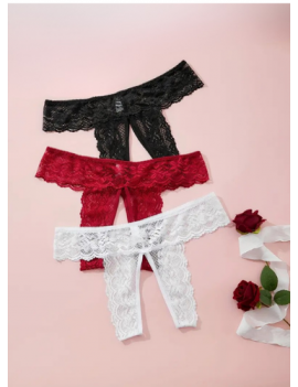 Tegan Fantezi Kadın 3'lü Özel Bölgeleri Açık Dantelli Tanga seti TG270045