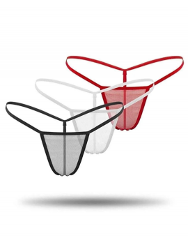 Tegan Kadın 3'lü Transparan Tül String TG271304