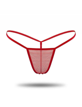 Tegan Büyük Beden Kadın 3'lü Transparan Tül String TG271304-B