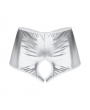 Tegan Fantezi Gümüş Özel Bölgeleri Açık Parlak Külot TG270049