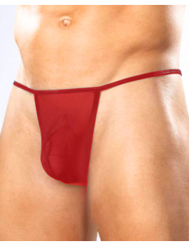 Tegan Fantezi Kırmızı Transparan Seksi Tül Erkek String TG274602